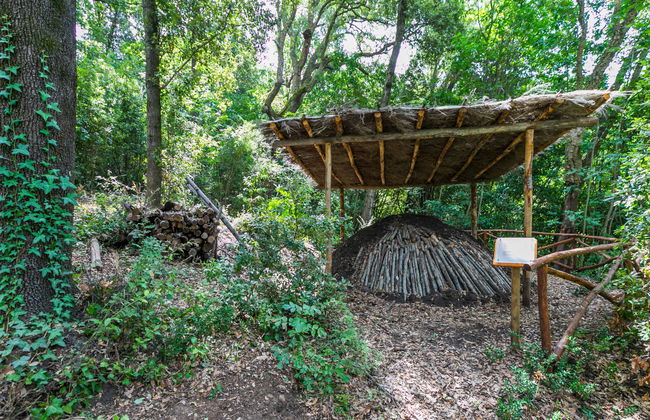 Casa de 2 quartos em Castagneto Carducci com piscina e jardim - Foto 42