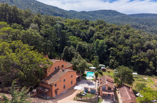 Foto 30 - Haus mit 1 Schlafzimmer in Castagneto Carducci mit schwimmbad und blick aufs meer