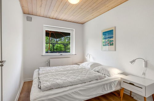 Foto 16 - Casa con 5 camere da letto a Henne con terrazza