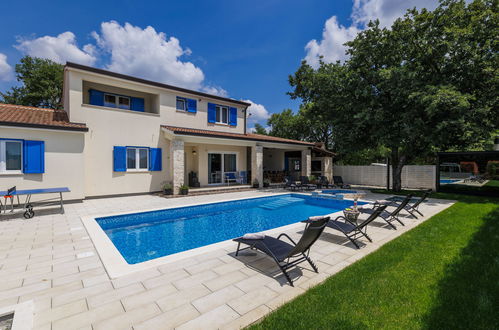 Photo 45 - Maison de 5 chambres à Žminj avec piscine privée et jardin