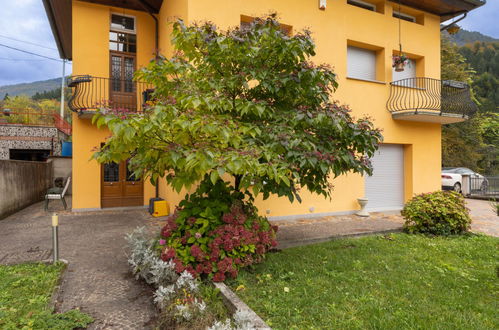 Photo 22 - 1 bedroom Apartment in Ovaro with garden