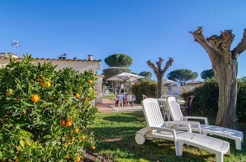 Photo 14 - Maison de 1 chambre à Roquebrune-sur-Argens avec piscine et vues à la mer