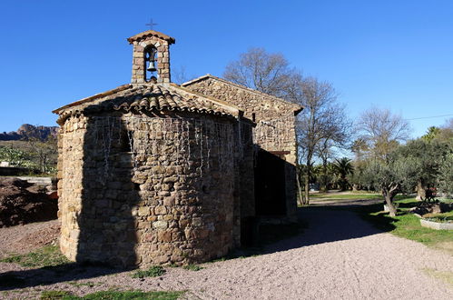 Foto 35 - Haus mit 1 Schlafzimmer in Roquebrune-sur-Argens mit schwimmbad und garten