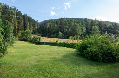 Foto 47 - Casa con 4 camere da letto a Pellizzano con giardino e vista sulle montagne