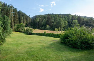 Photo 47 - Maison de 4 chambres à Pellizzano avec jardin et terrasse