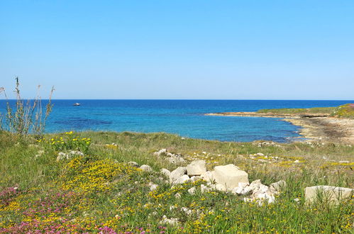 Photo 23 - Maison de 1 chambre à Ceglie Messapica avec jardin et vues à la mer