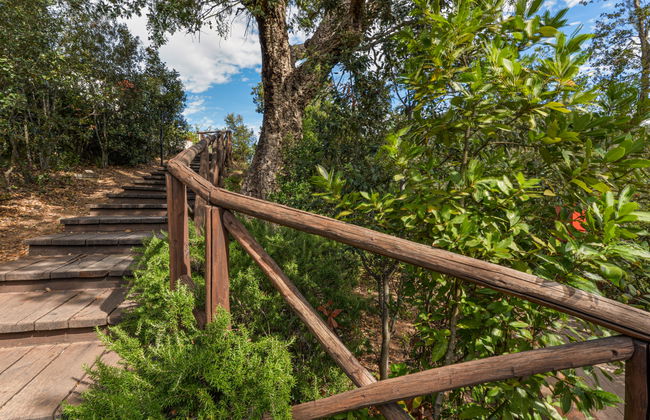 Casa de 3 quartos em Rio com jardim e terraço - Foto 38