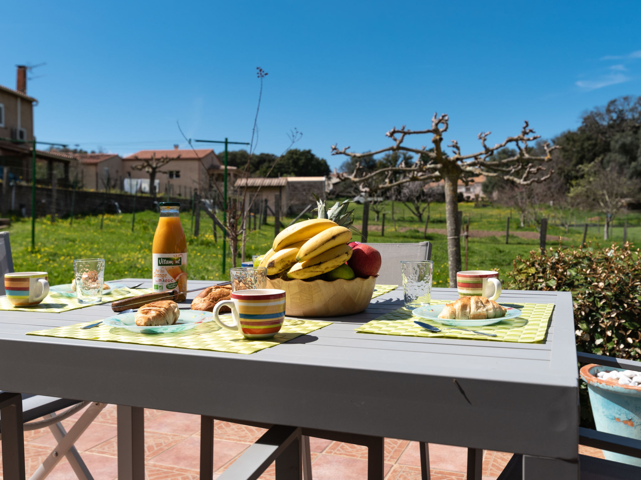 Foto 3 - Casa de 2 quartos em Porto-Vecchio com jardim e terraço