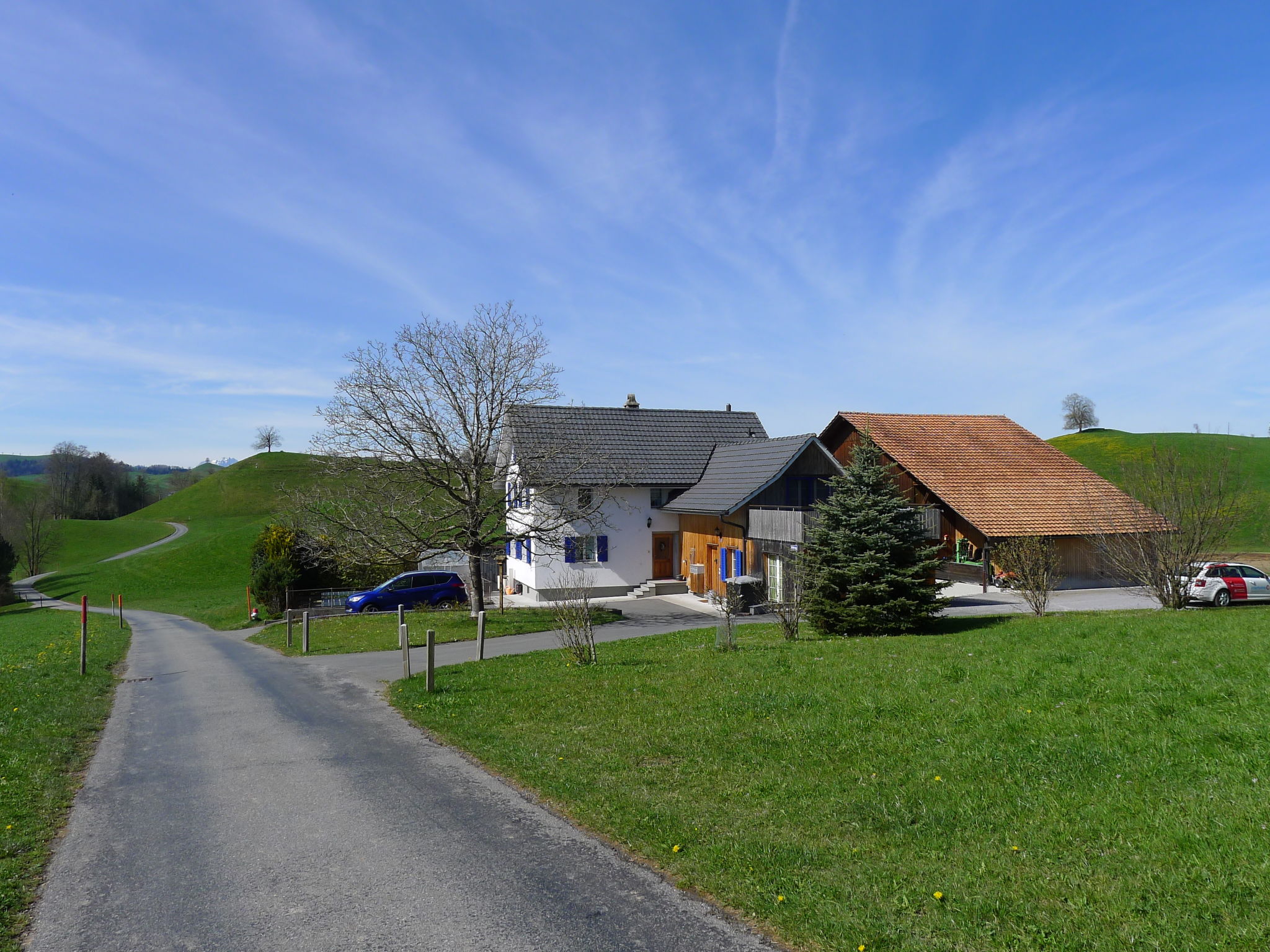 Photo 19 - 1 bedroom Apartment in Horgen with terrace and mountain view