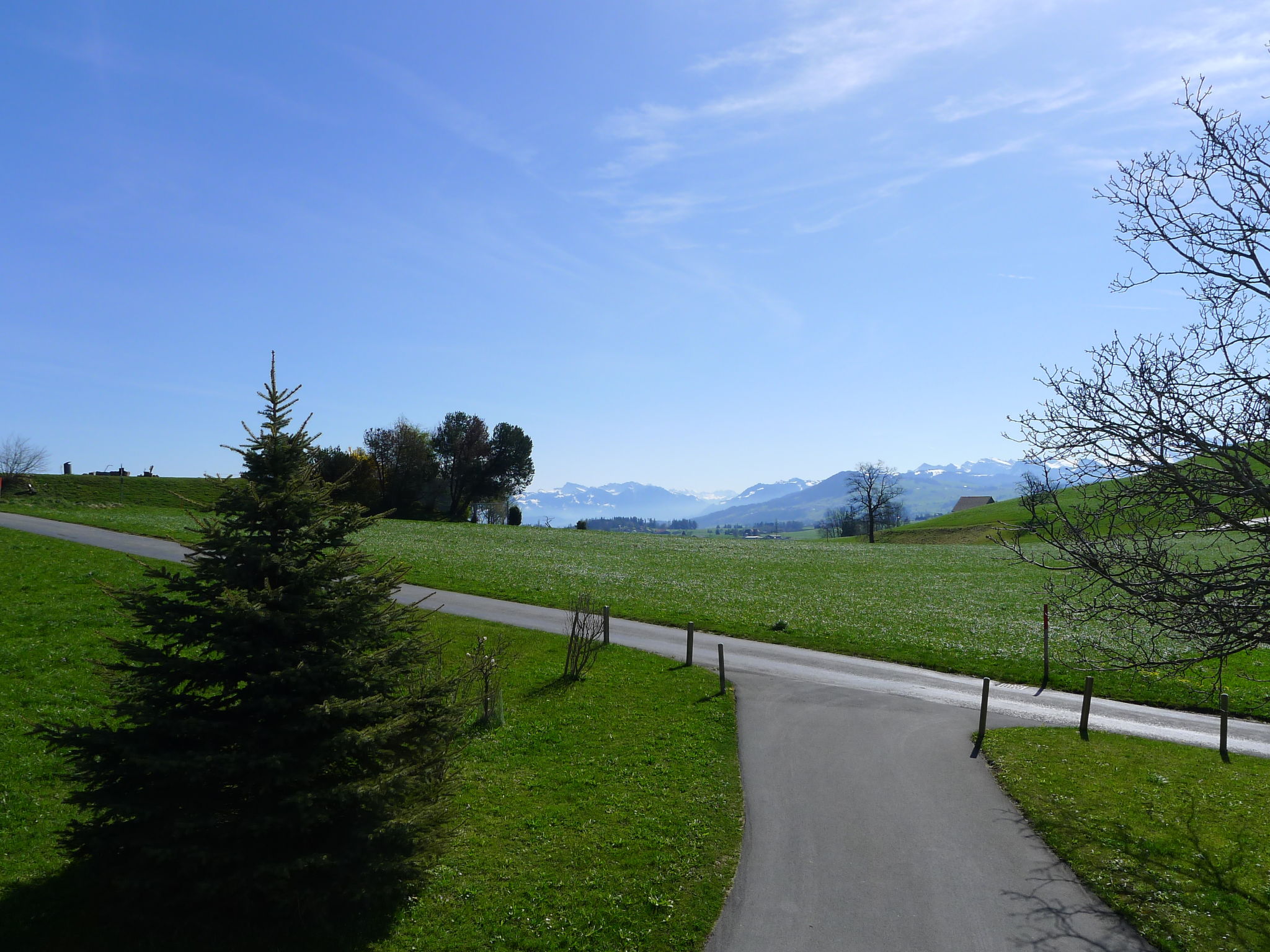 Foto 4 - Appartamento con 1 camera da letto a Horgen con terrazza e vista sulle montagne