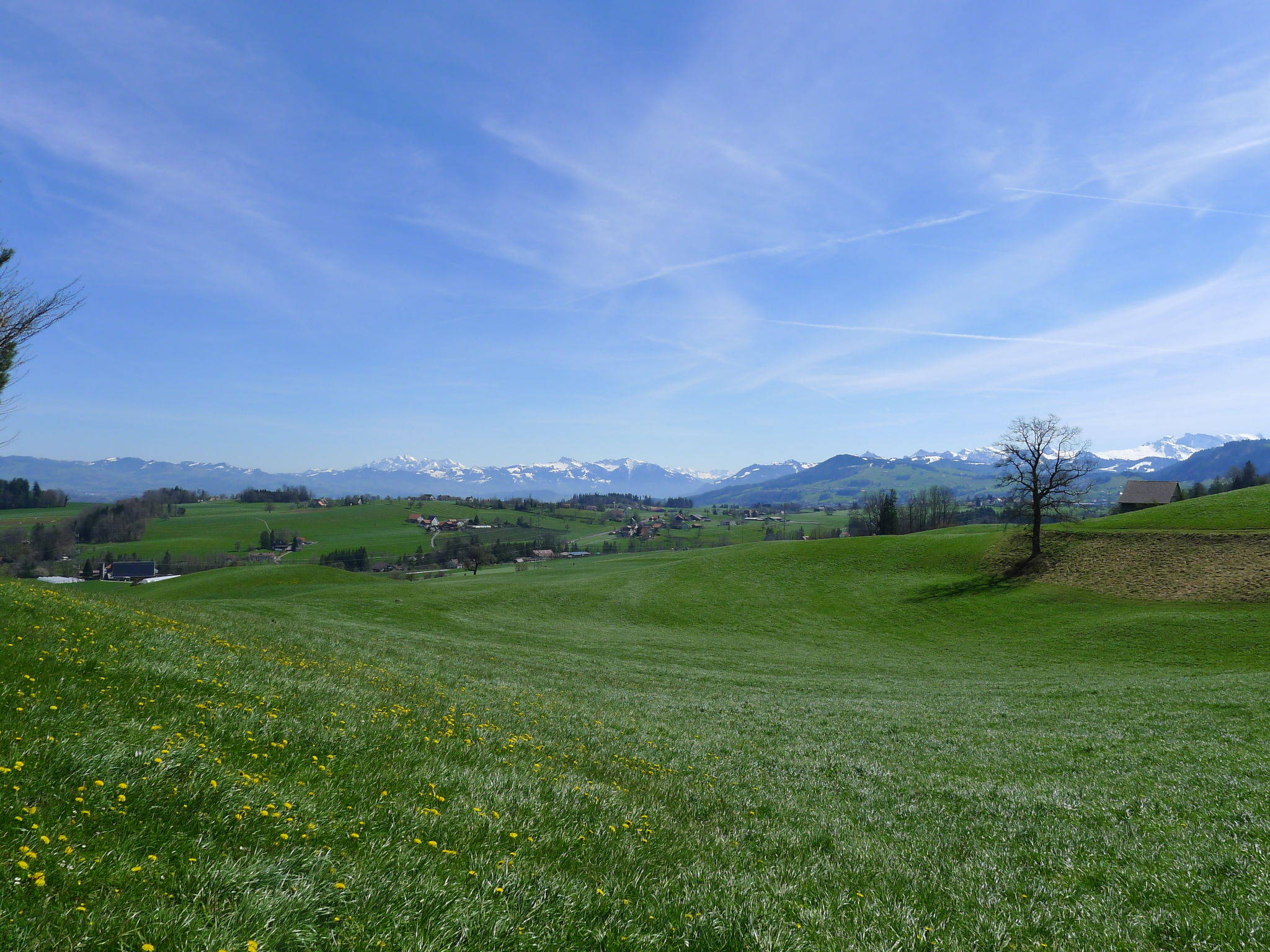 Photo 21 - Appartement de 1 chambre à Horgen avec terrasse et vues sur la montagne