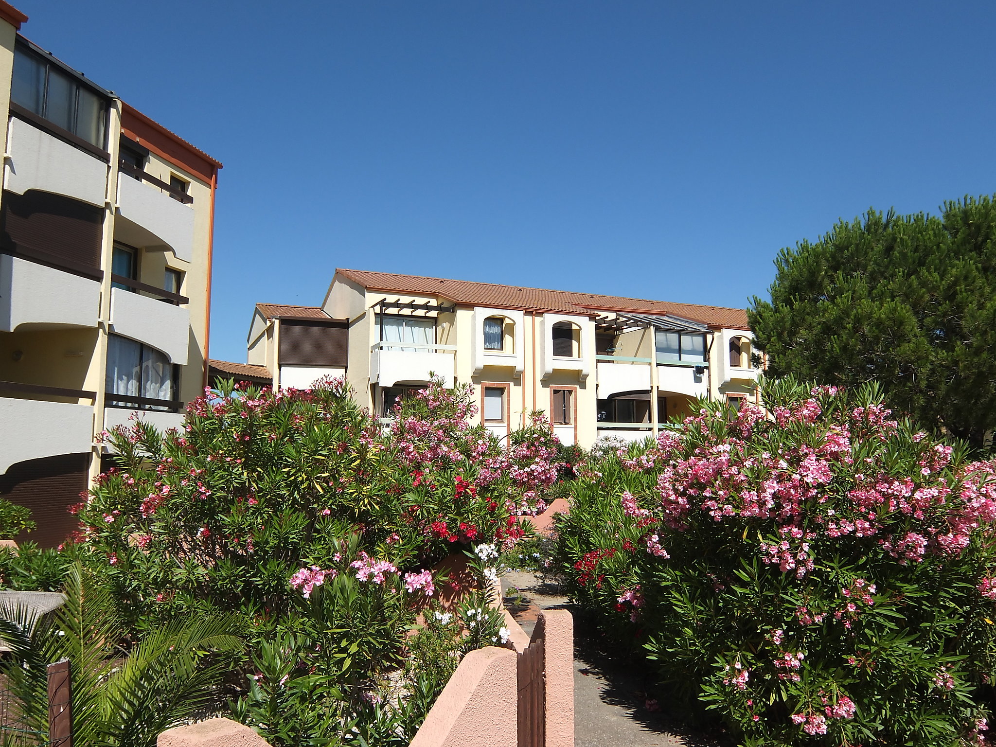 Foto 18 - Apartment mit 2 Schlafzimmern in Saint-Cyprien mit terrasse und blick aufs meer
