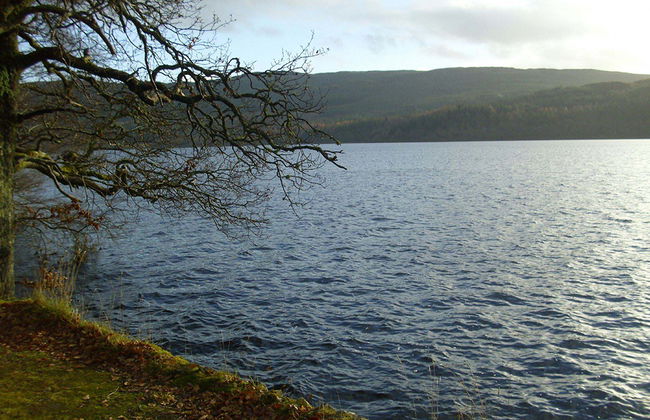 Stirling Castle, Loch Lomond et Croisière - Visite en petit groupe - Photo 2