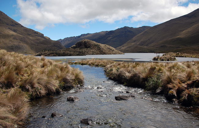 Tour Privado de Meio Dia ao Parque Nacional de Cajas - Foto 2