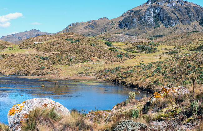 Tour Privado de Meio Dia ao Parque Nacional de Cajas - Foto 3