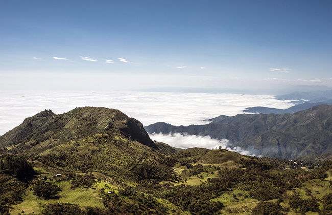 Tour Privado de Meio Dia ao Parque Nacional de Cajas - Foto 4