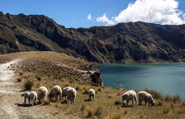 Quilotoa - Tagestour - Foto 2