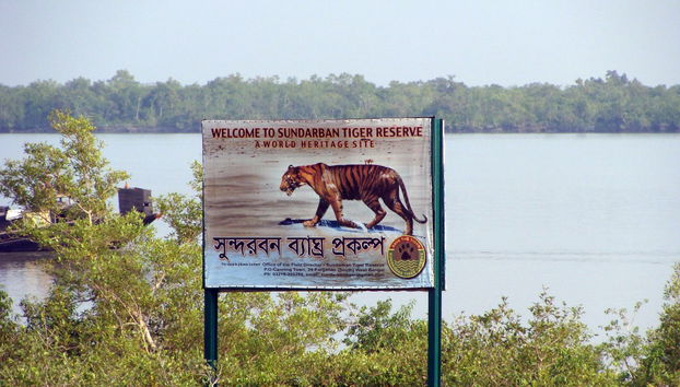 Sundarbans Tiger Reserve Tour - Foto 4