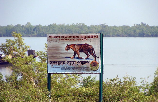 Sundarbans Tiger Reserve Tour - Foto 4