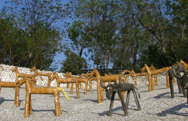 Recorrido turístico privado por Chandigarh - Foto 5