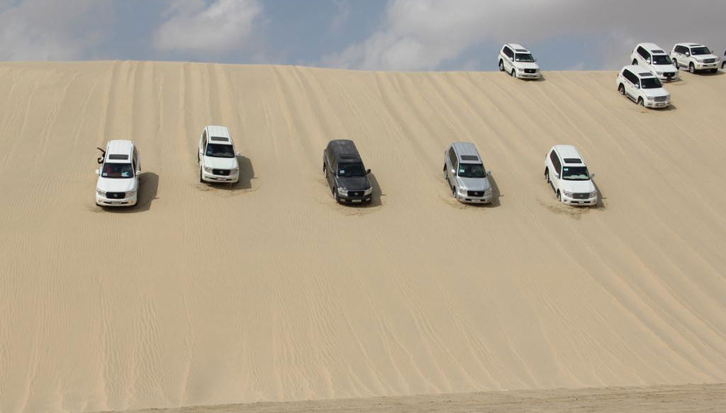 Desert Safari - Half-Day Tour - Photo 1
