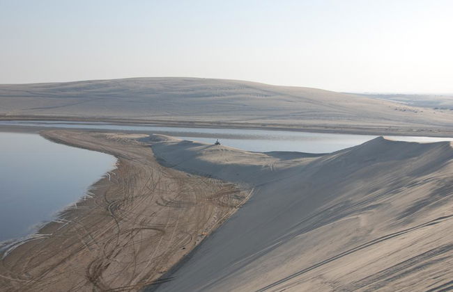 Desert Safari - Half-Day Tour - Photo 6