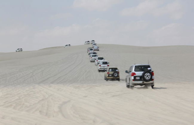 Desert Safari - Half-Day Tour - Photo 9