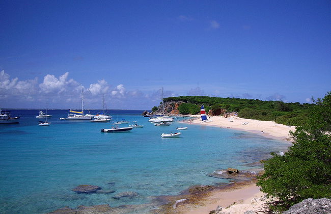 Navegue por la costa de St Maarten y nade con tortugas - Foto 5