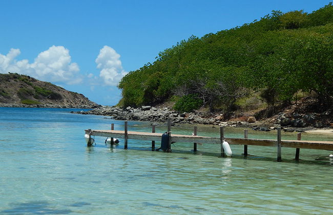 Navegue por la costa de St Maarten y nade con tortugas - Foto 3