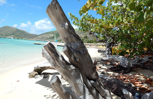 Navegue por la costa de St Maarten y nade con tortugas - Foto 2