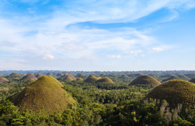 Balicasag island tour - Photo 4