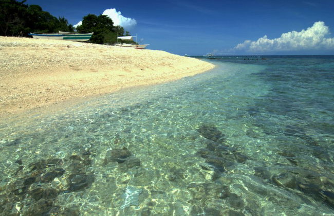 Balicasag island tour - Photo 2