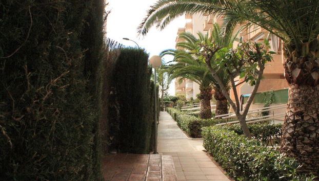 Apartamentos Gandia Playa 3000 - Photo 5