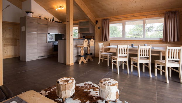 Haus mit 6 Schlafzimmern in Stadl-Predlitz mit garten und terrasse - Foto 3