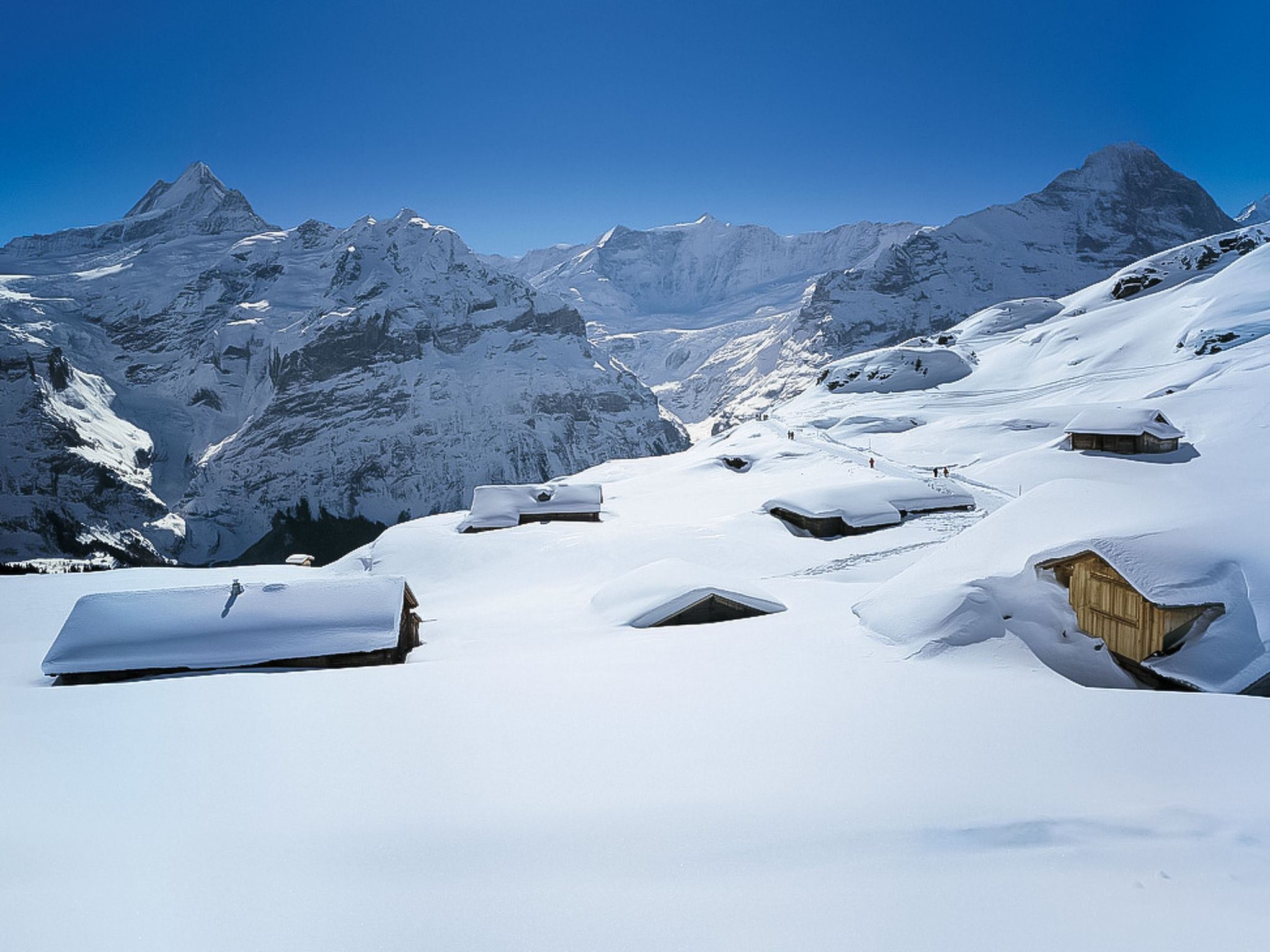 Photo 20 - Apartment in Grindelwald with garden