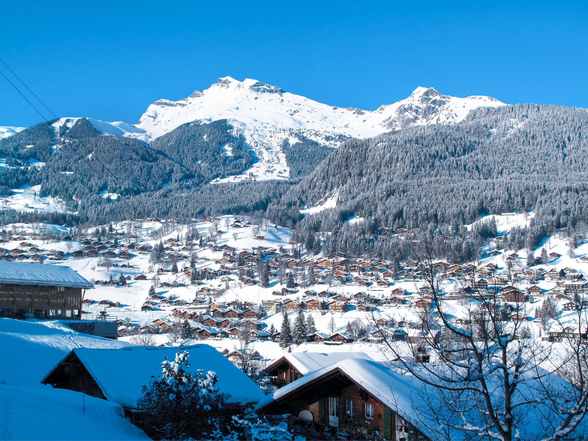 Foto 47 - Apartamento de 2 quartos em Grindelwald com vista para a montanha