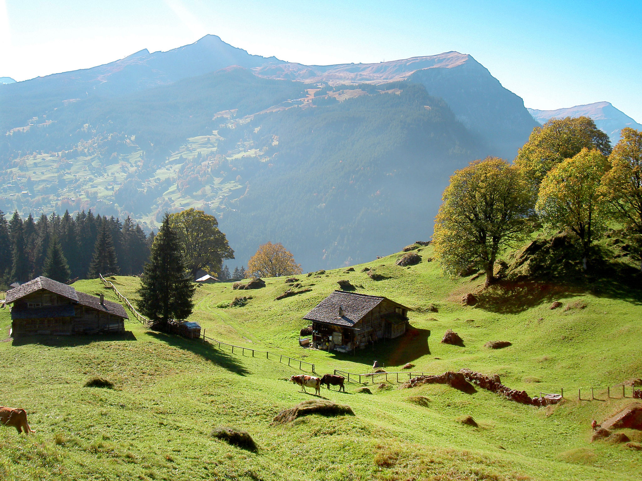 Photo 18 - 1 bedroom Apartment in Grindelwald with garden and terrace