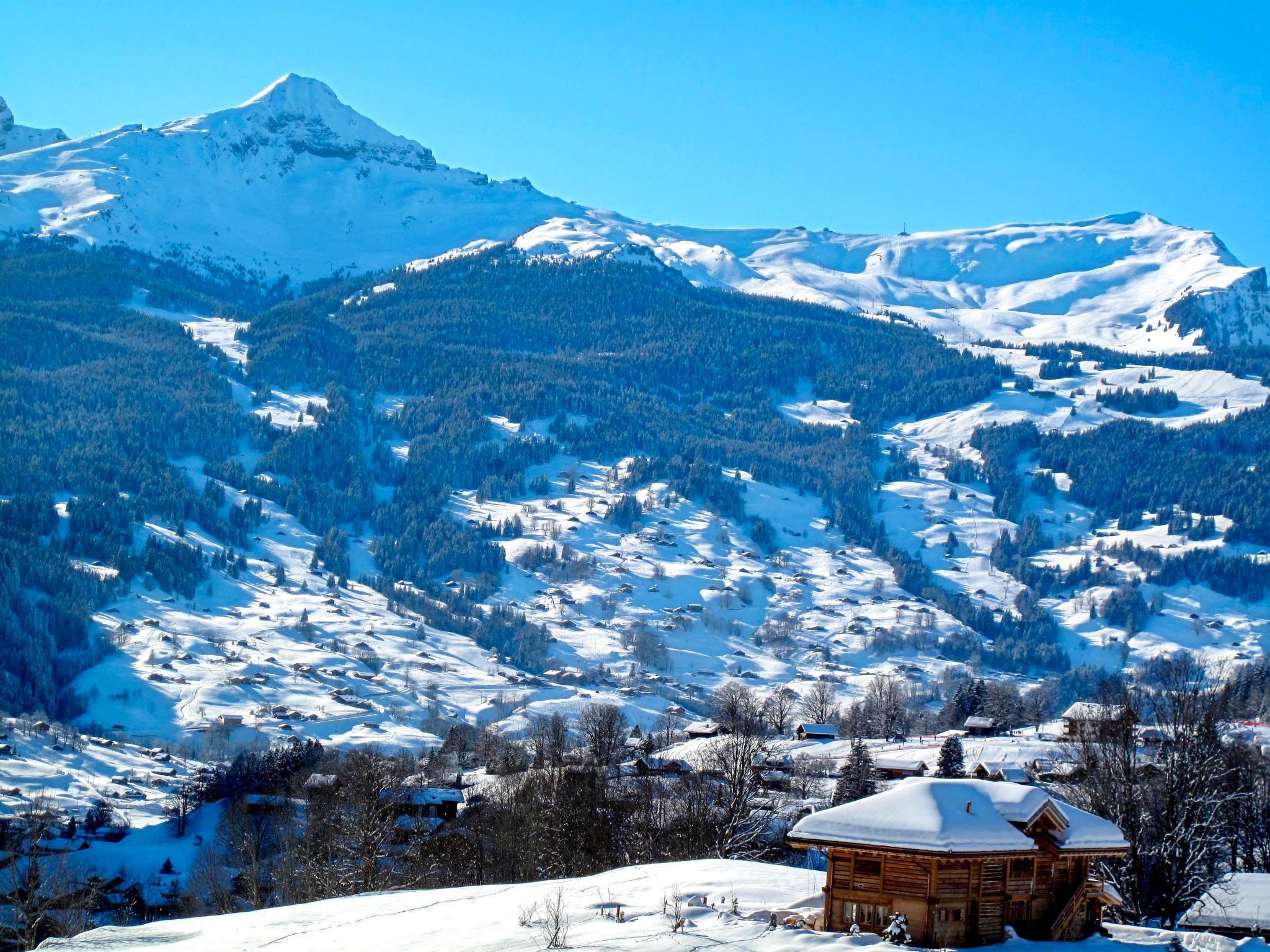 Photo 45 - Appartement de 1 chambre à Grindelwald avec vues sur la montagne