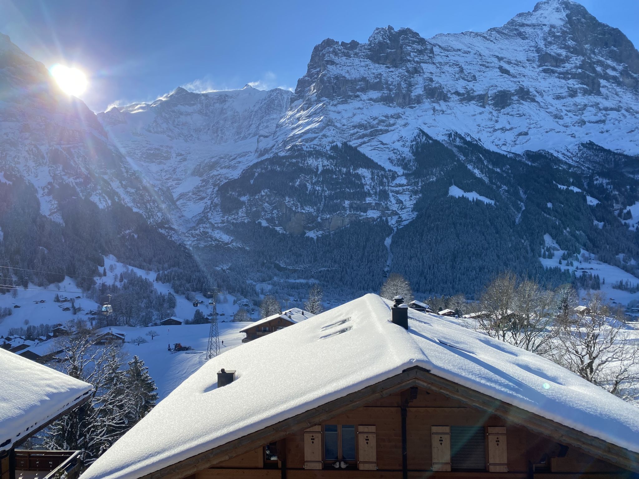 Foto 33 - Apartamento de 3 habitaciones en Grindelwald con vistas a la montaña
