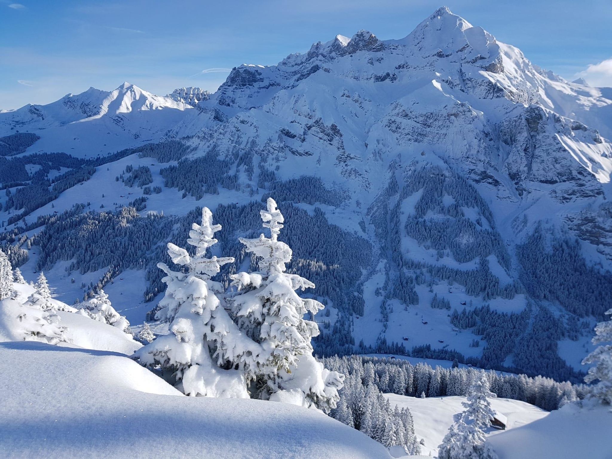 Photo 21 - 1 bedroom Apartment in Adelboden