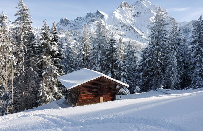 Apartamento de 1 quarto em Adelboden - Foto 22
