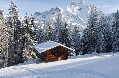 Photo 22 - Appartement de 1 chambre à Adelboden