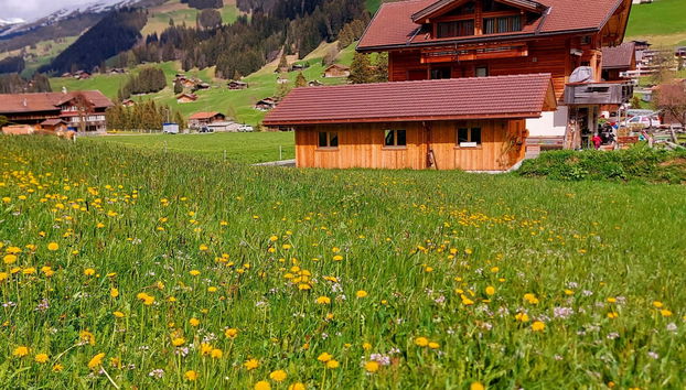 Apartment mit 1 Schlafzimmer in Adelboden - Foto 5