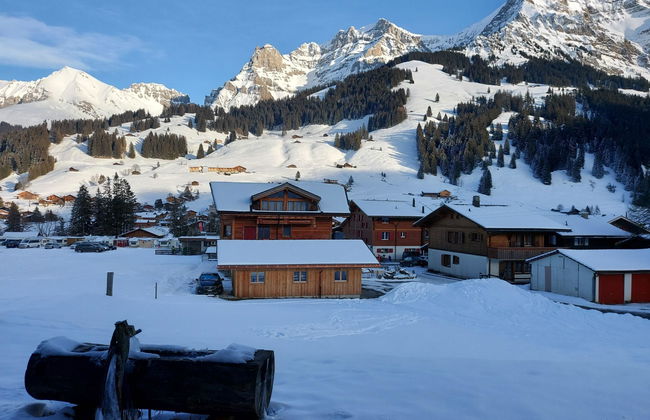 Apartamento de 1 quarto em Adelboden - Foto 6