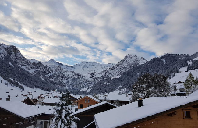 Apartamento de 1 quarto em Adelboden - Foto 7