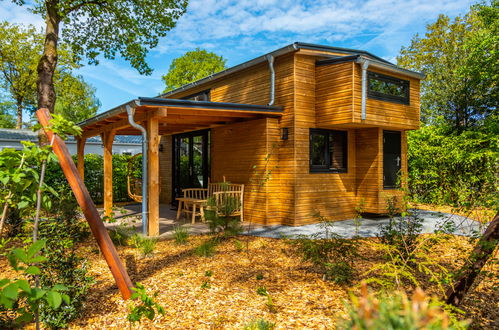 Foto 56 - Haus mit 2 Schlafzimmern in Otterlo mit schwimmbad und terrasse