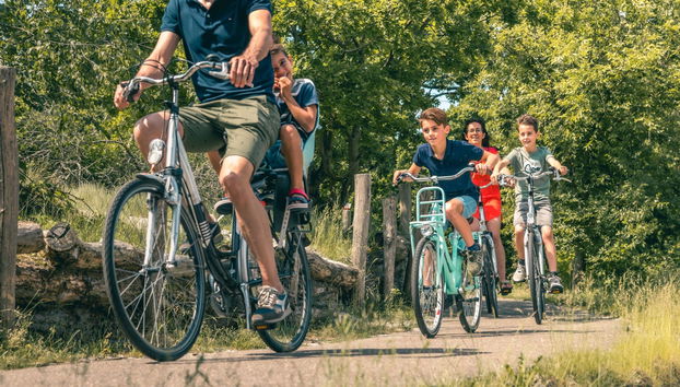 3 bedroom House in Brunssum with terrace - Photo 4