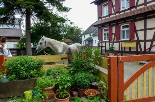 Photo 28 - 2 bedroom Apartment in Meißenheim with garden and mountain view