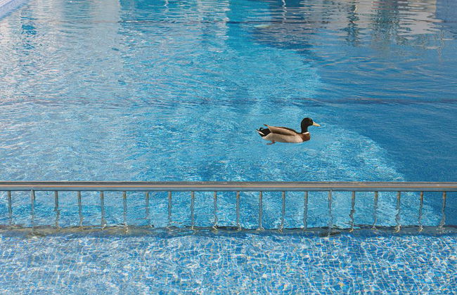 Aparthotel Novo Mar - Foto 70