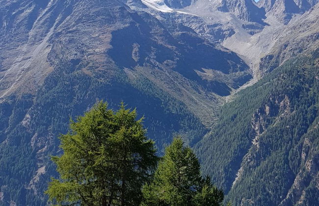 Apartamento de 2 quartos em Saas-Grund - Foto 7